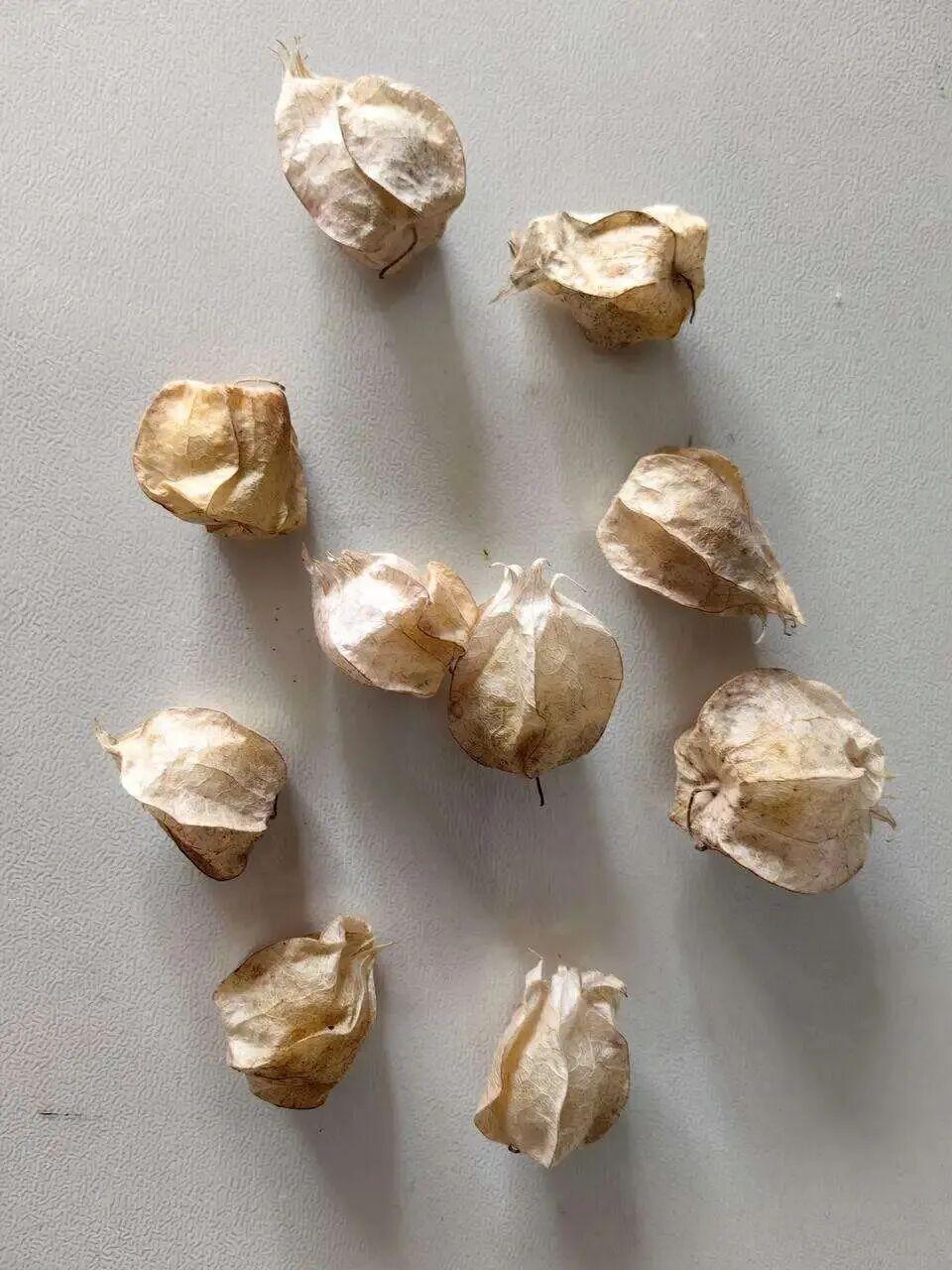 深度解析月之暗面Kimi-K2.5-Thinking:旗舰推理模型在Agent、代码、图像任务上的突破与局限